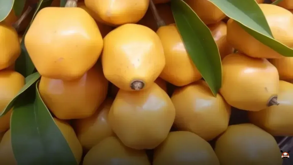 How much does a star fruit cost