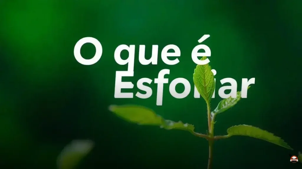 O que é Esfoliar