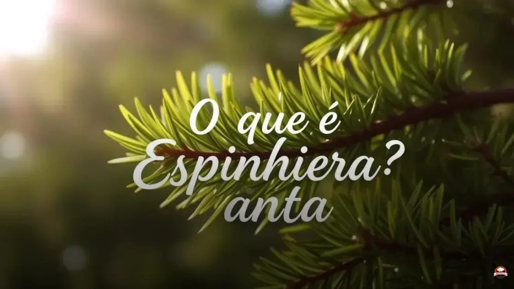 O que é Espinheira-santa