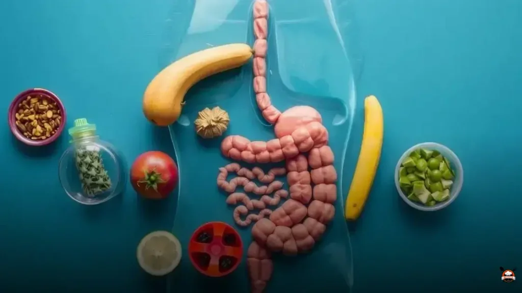 Quais alimentos que soltam o intestino