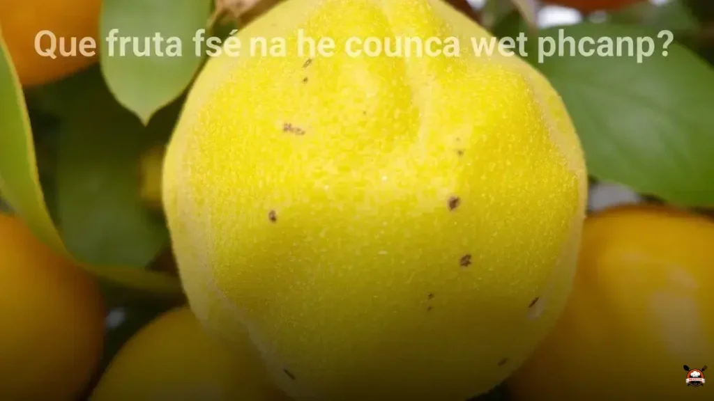 Qual é a fruta que começa com p e