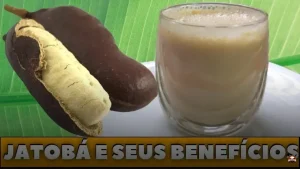 Vitamina de jatobá: um smoothie poderoso e delicioso para você