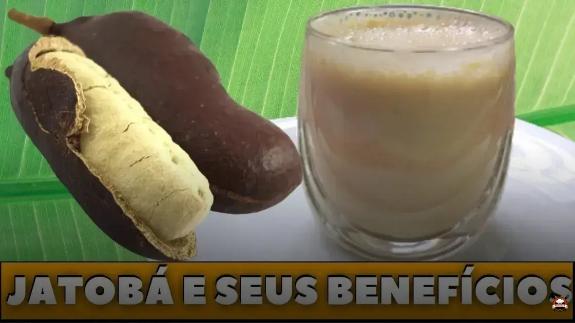Imagem Destacada
