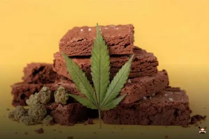 Bolo de maconha: a sobremesa surpreendente que você precisa provar!