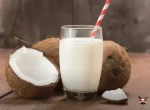 Vitamina de leite de coco: refresco brasileiro delicioso e fácil