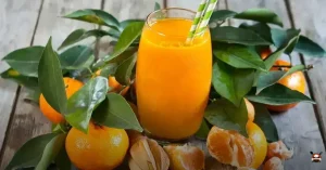 Vitamina de tangerina: a refrescante bebida brasileira perfeita!
